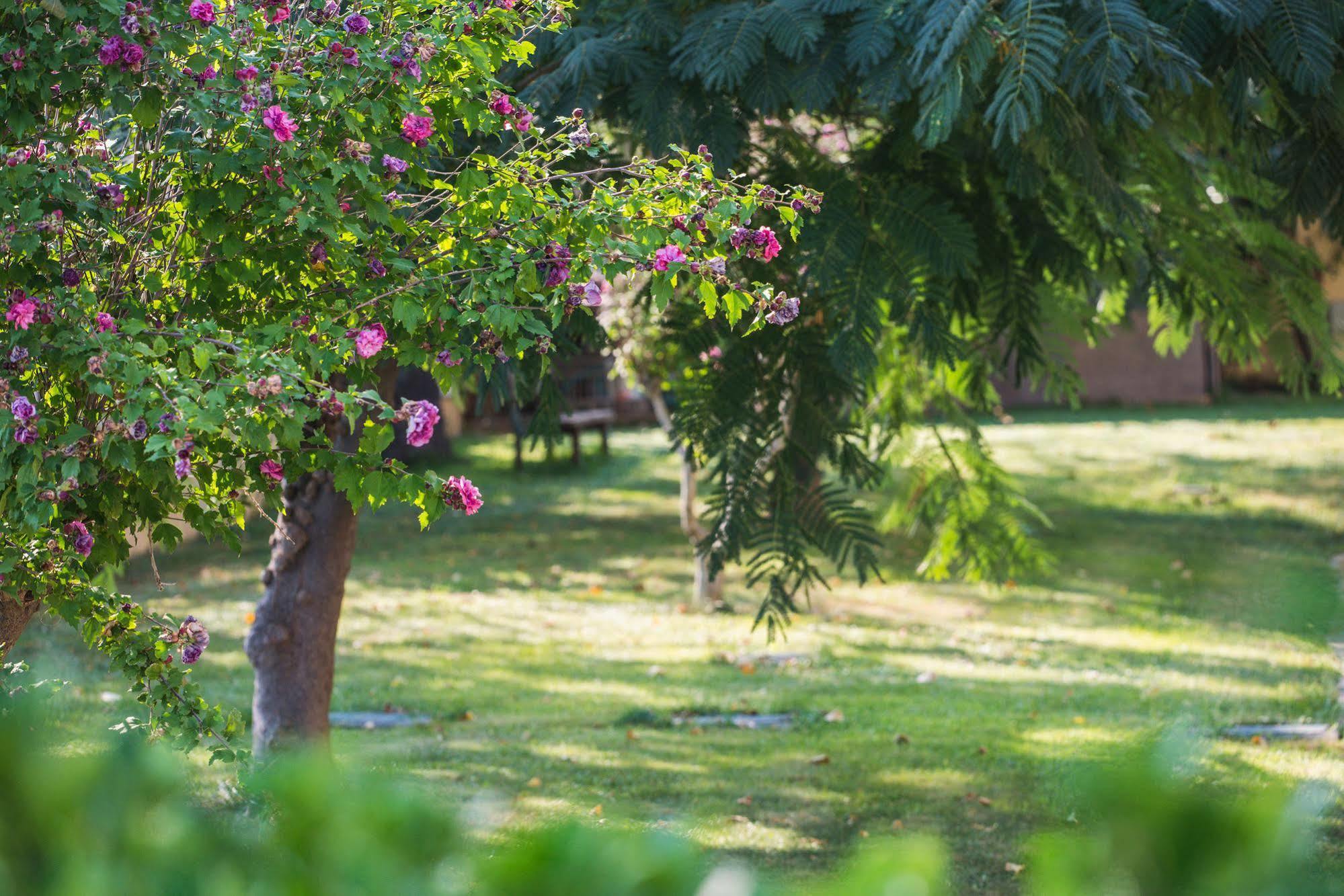 Plaza 2* Alexandroupoli